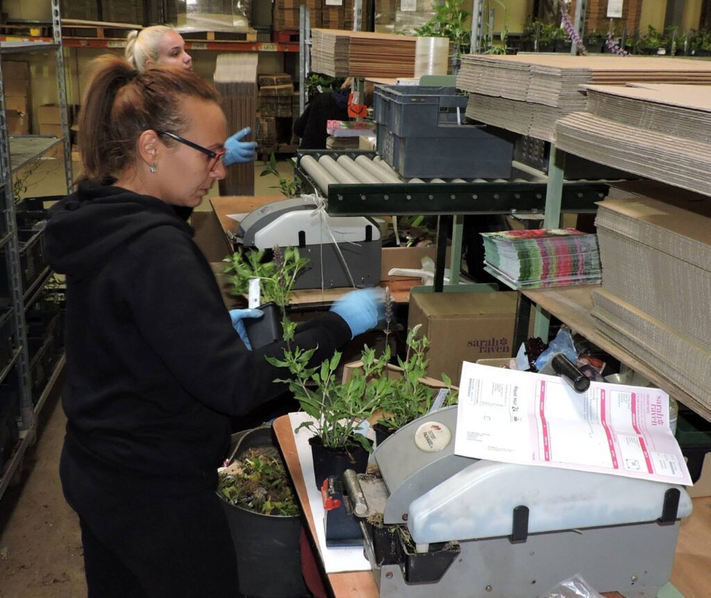 The First 7 Seconds: How Packaging Psychology Drives Consumer Choice